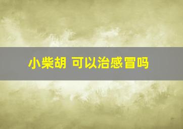 小柴胡 可以治感冒吗